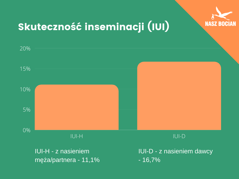 skuteczność inseminacji