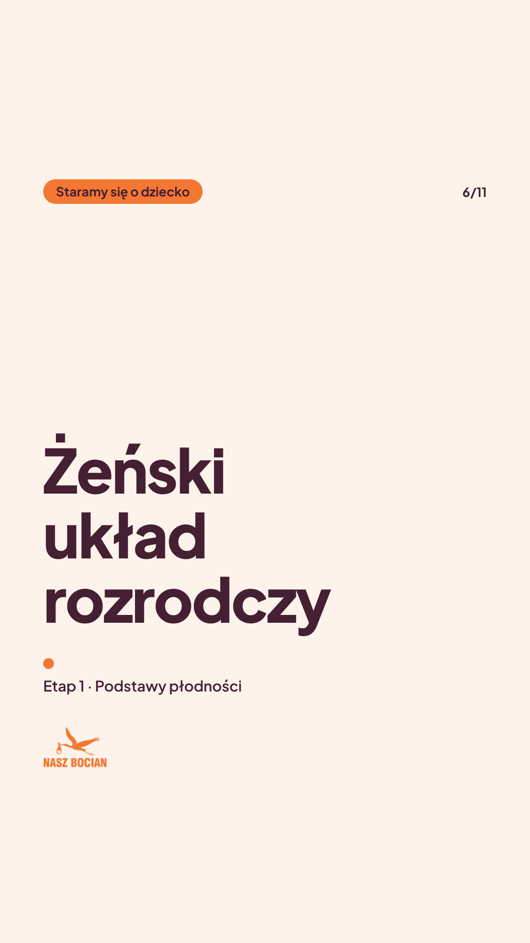 Żeński układ rozrodczy